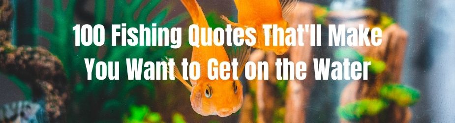best fishing quotes