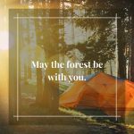 camping in forest quote