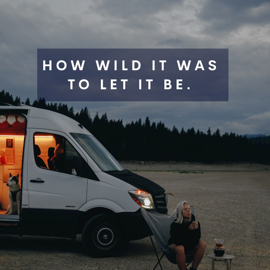 camping in wild quote