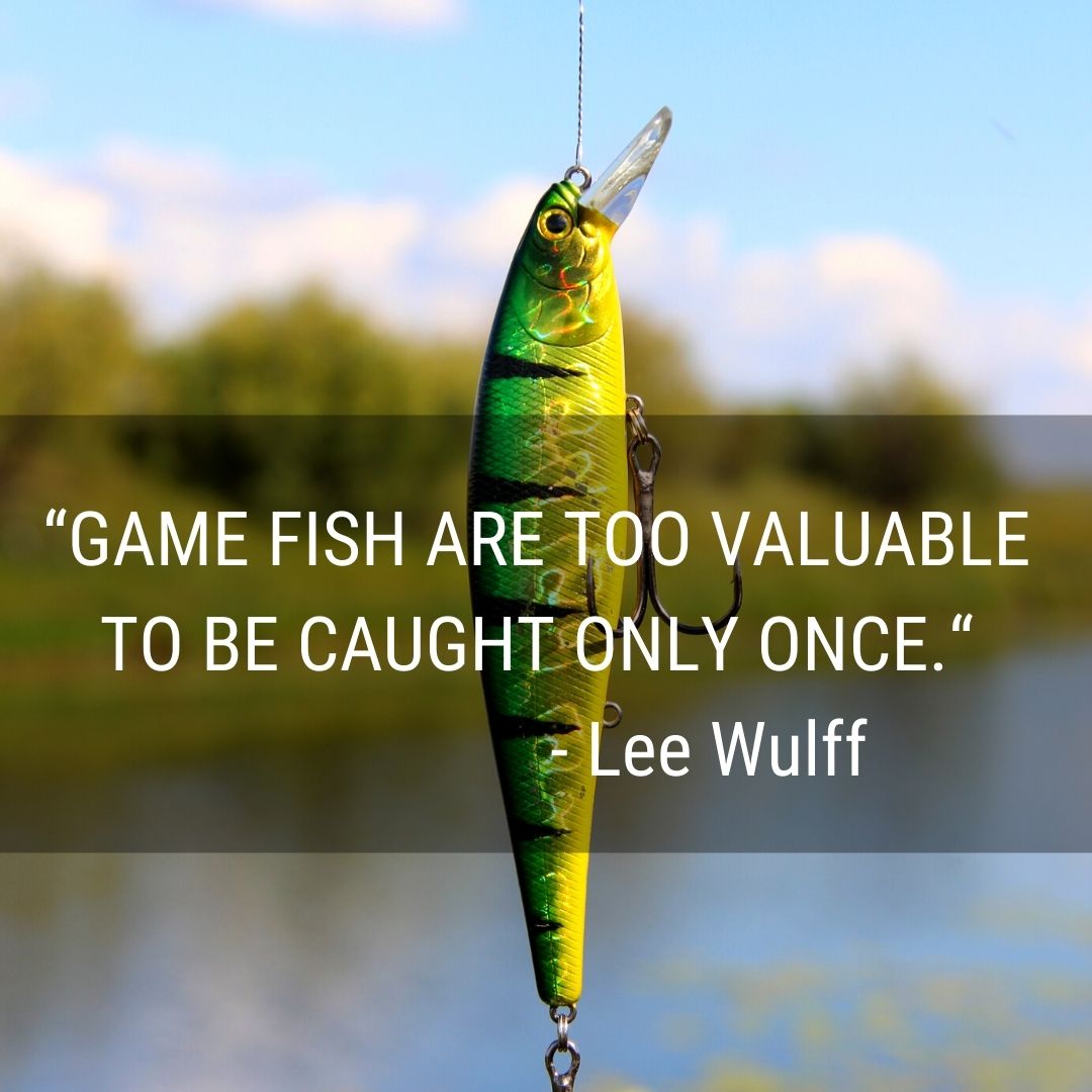 fishing quote