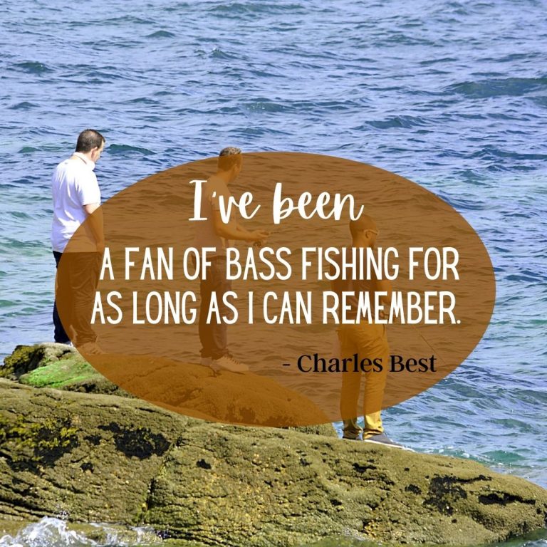 fishing quotes funny