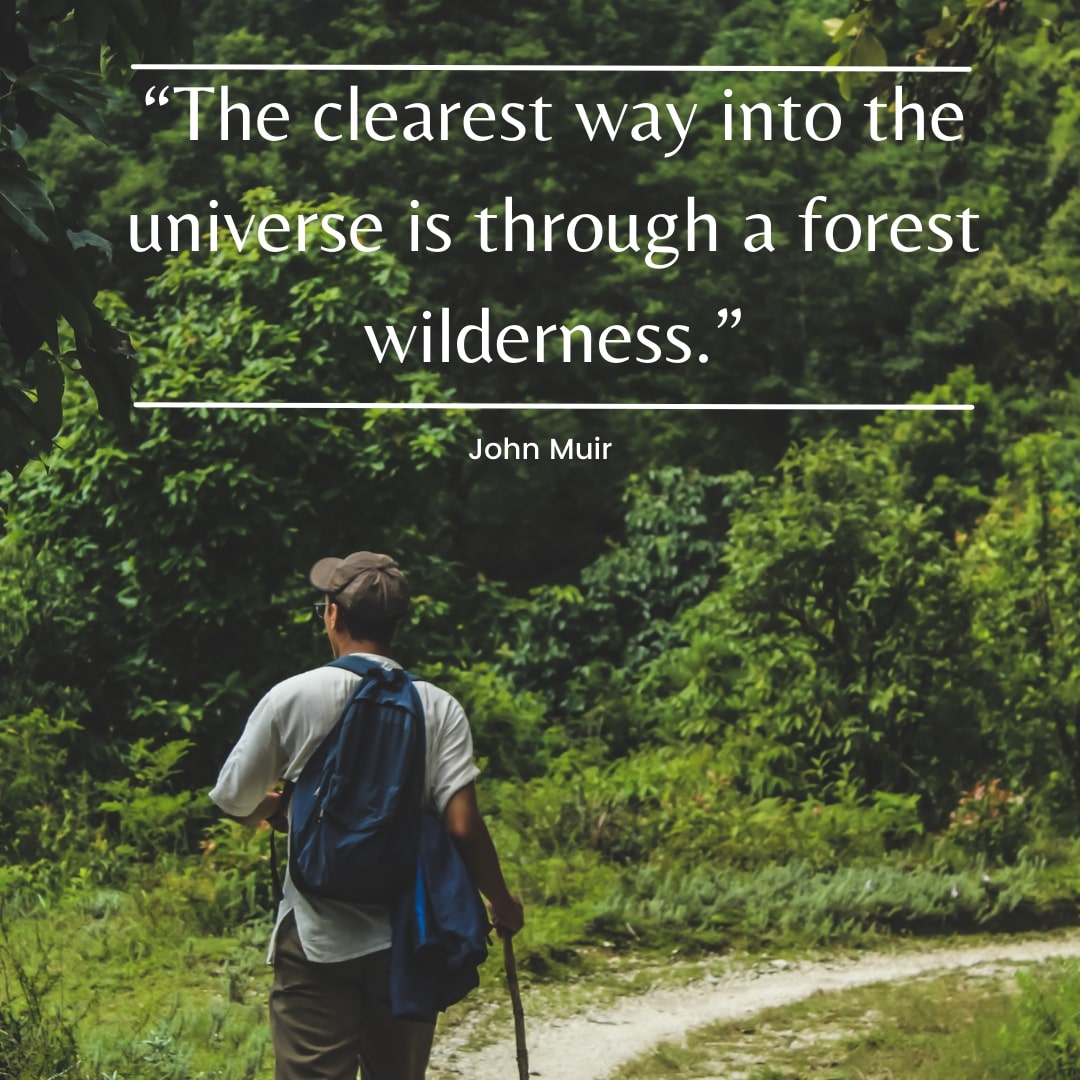 forest hiking quote