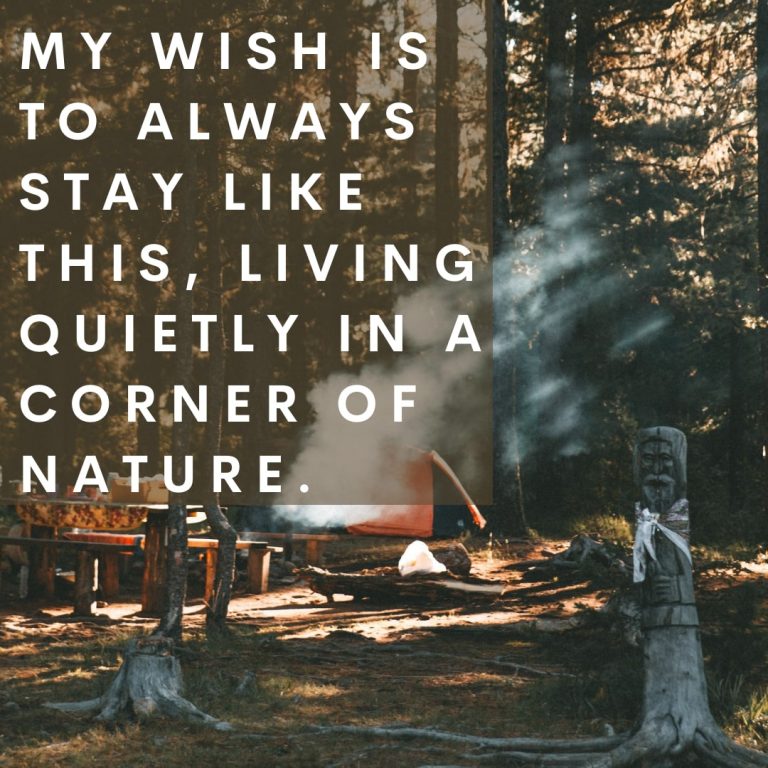 nature camping quote