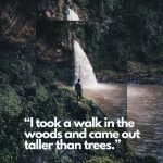 woods hiking quote