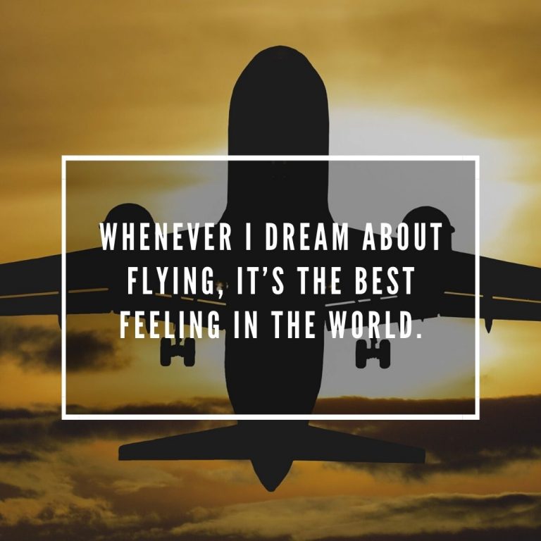 Flying Motivational Quote
