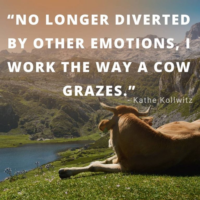 cute quotes about cow