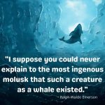 Best whale quotes