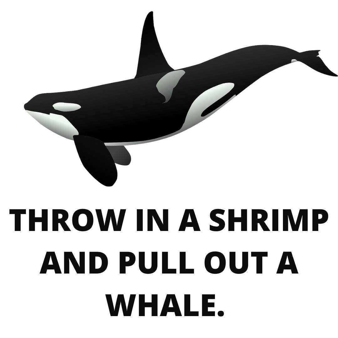 Best whale quotes