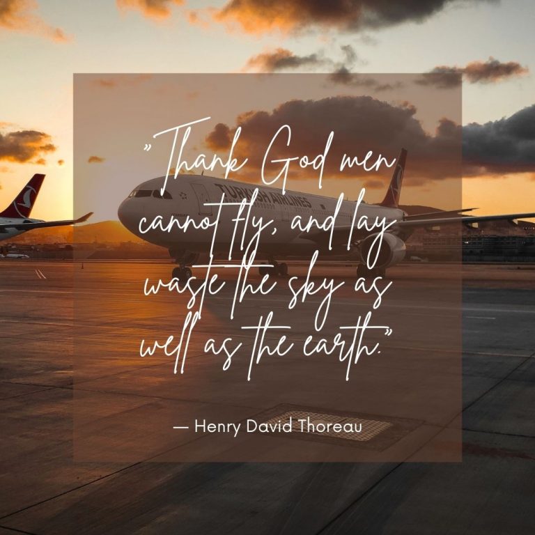 Quote on Aviation
