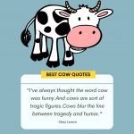 best cow quotes