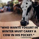 cow quotes