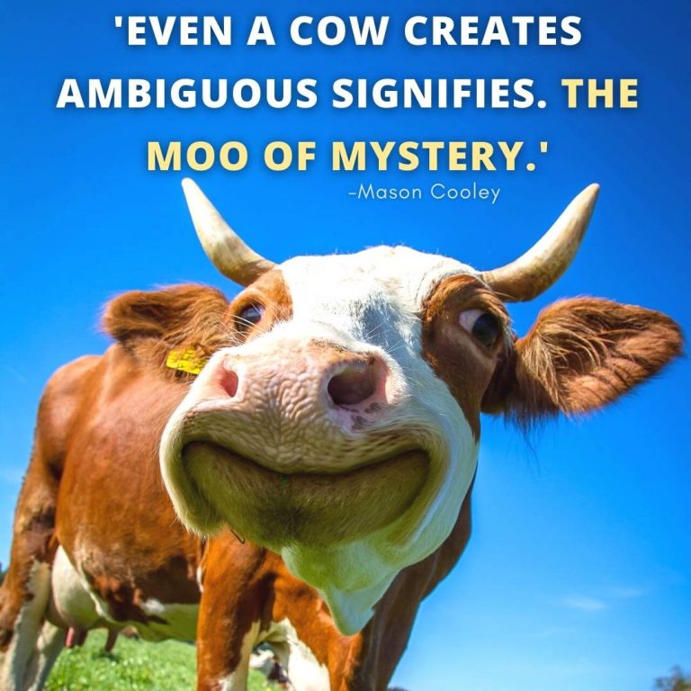 cow quotes goodreads