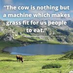 cow saying and quotes
