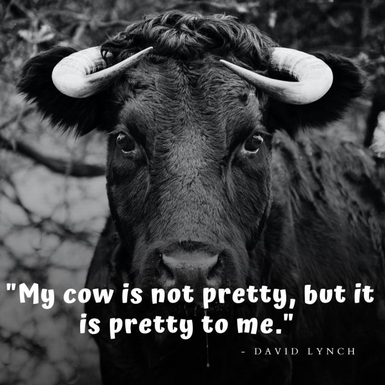 holy cow quotes