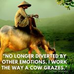 holy cow quotes