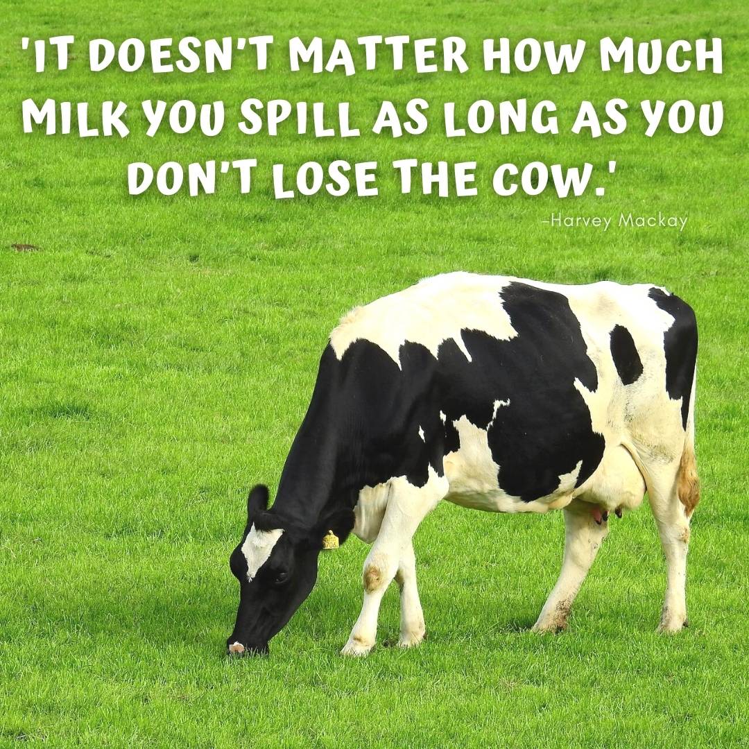 old saying about cow and milk