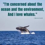 quotes about whales and love