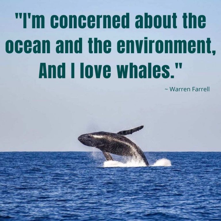 quotes about whales and love