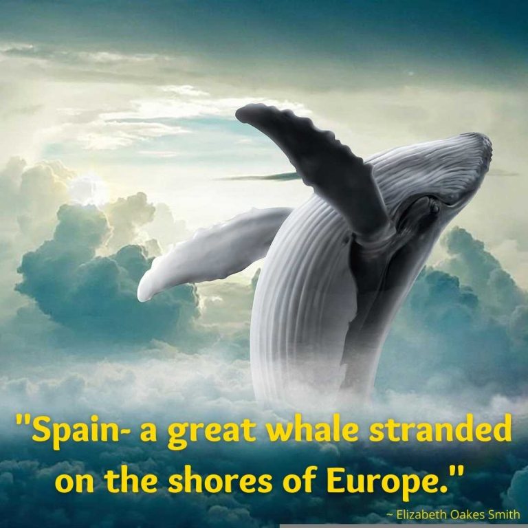 short whale quotes