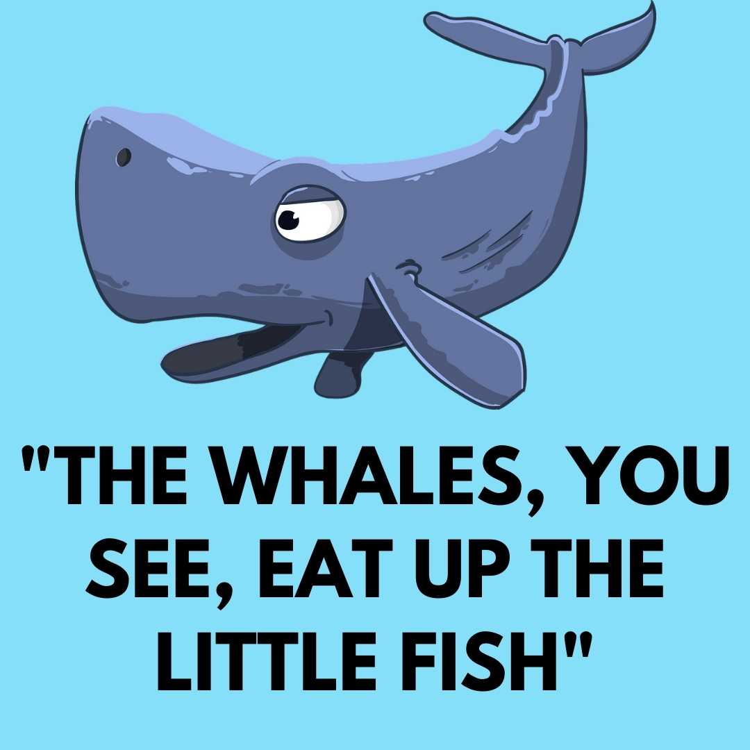 short whale quotes