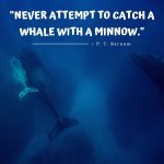 whale inspirational quotes