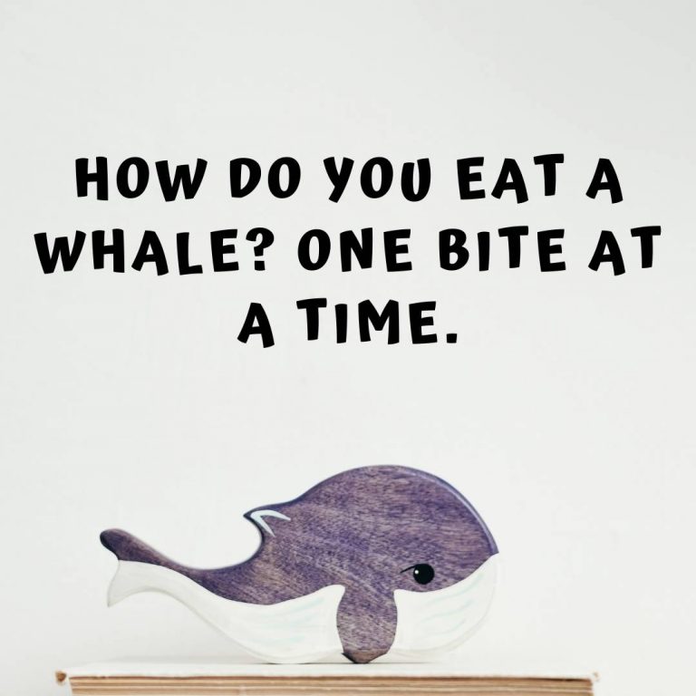 whale jokes for adults