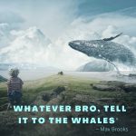 whale puns