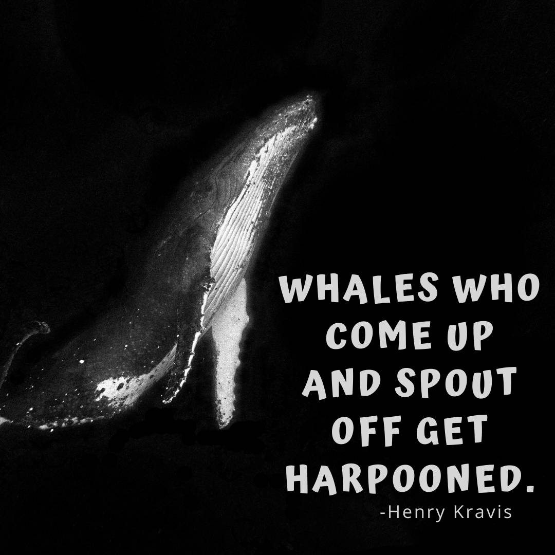 whale quotes goodreads