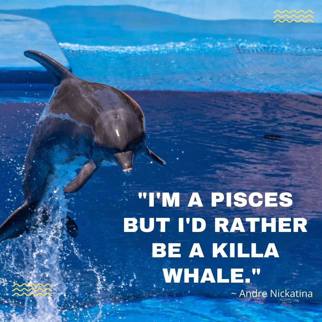 whale quotes inspirational