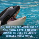 whale quotes instagram