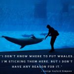 whale quotes instagram