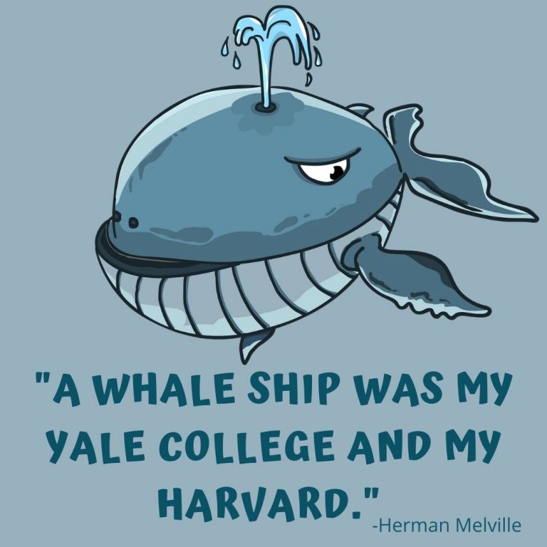 words with whale in them