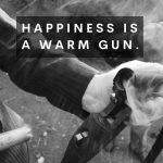 Warm Gun Quote
