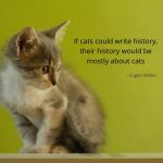 Cats Funny Quote