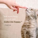 Cats Happy Quote
