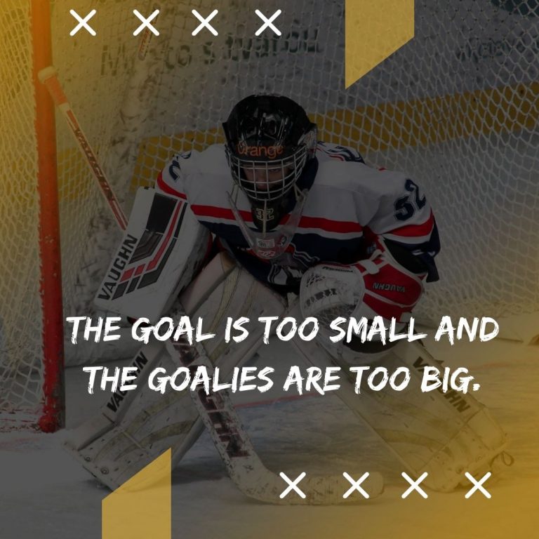 Hockey Goalies Quote