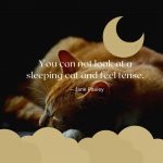 Sleeping Cat Quote