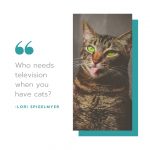 Cat Funny Quote