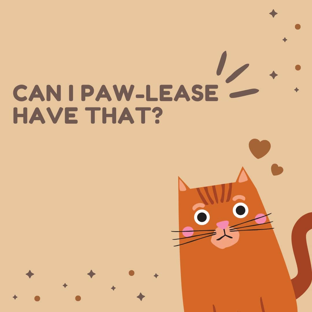 Cat Paw Quote