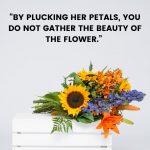 Flower Garden Quote