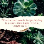 Garden Inspirational Quote