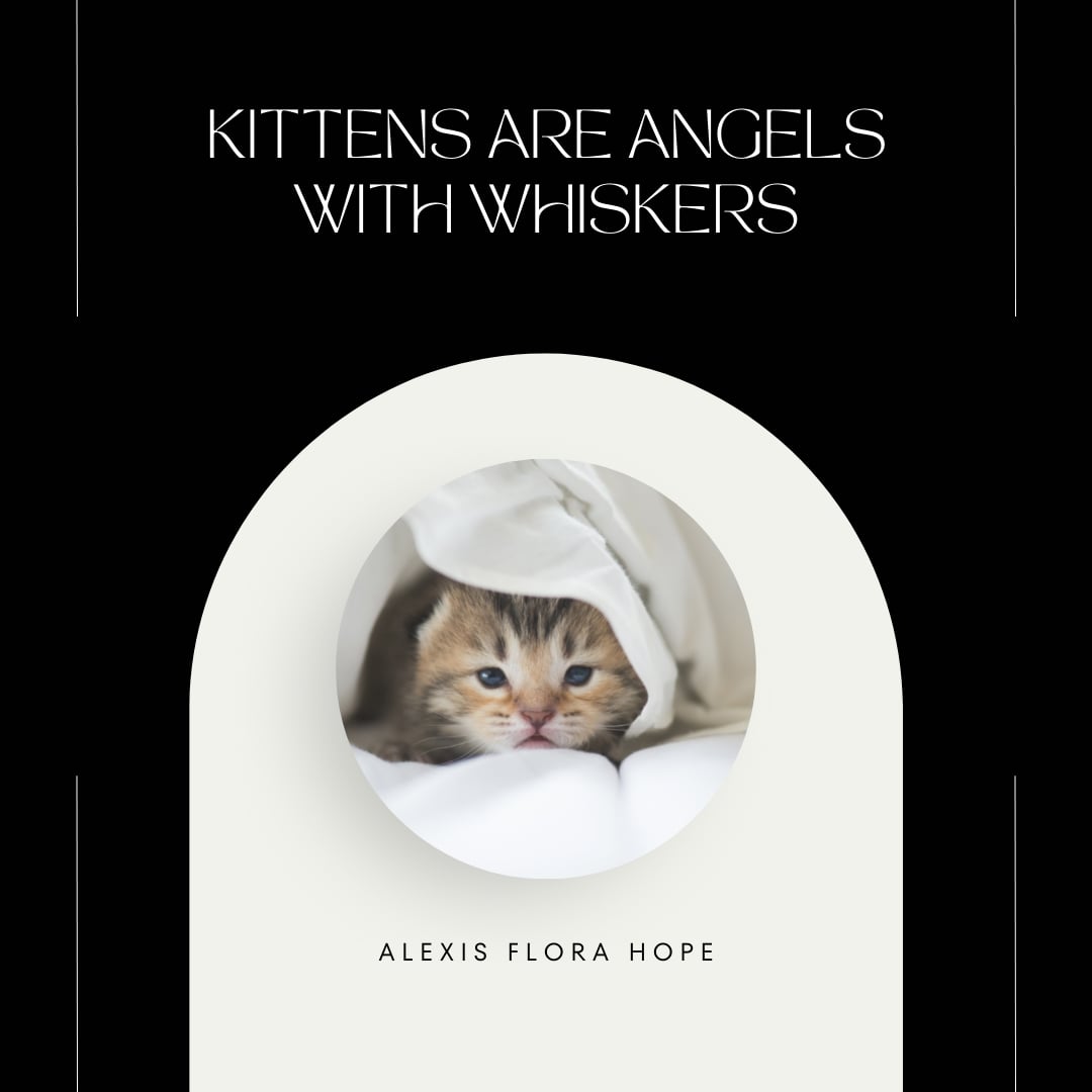 Kittens Cute Quote