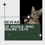 Quote about Cats