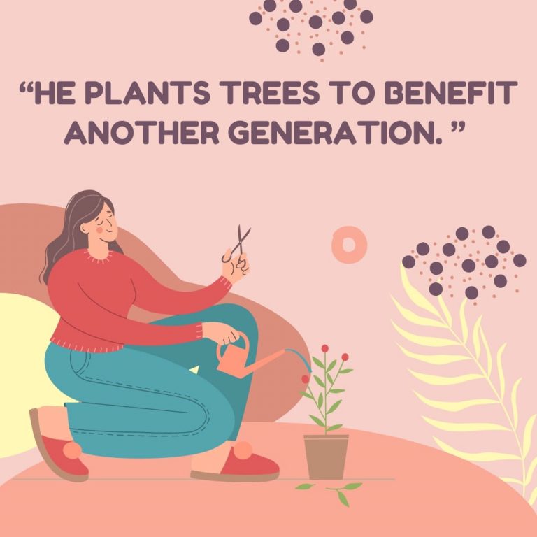 Tree Plantation Quote