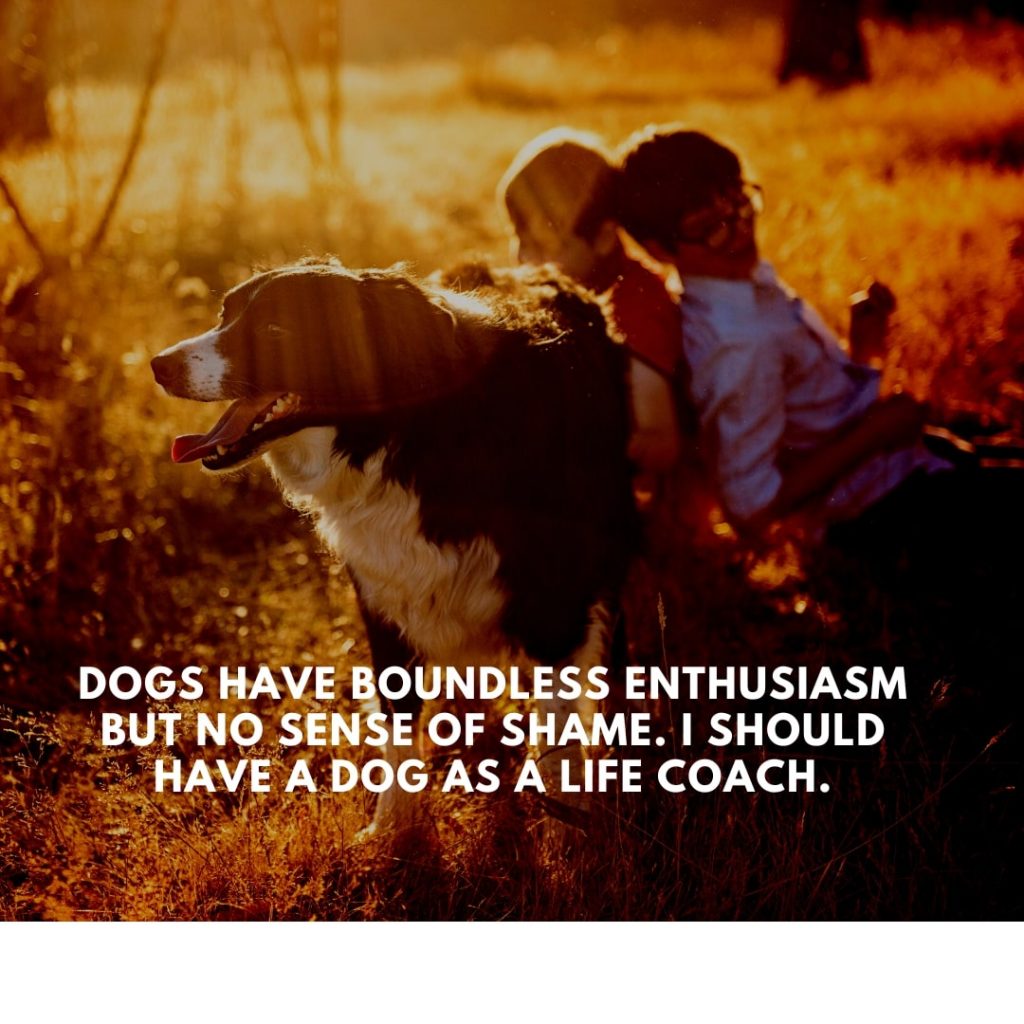 Loyal Dog Quote