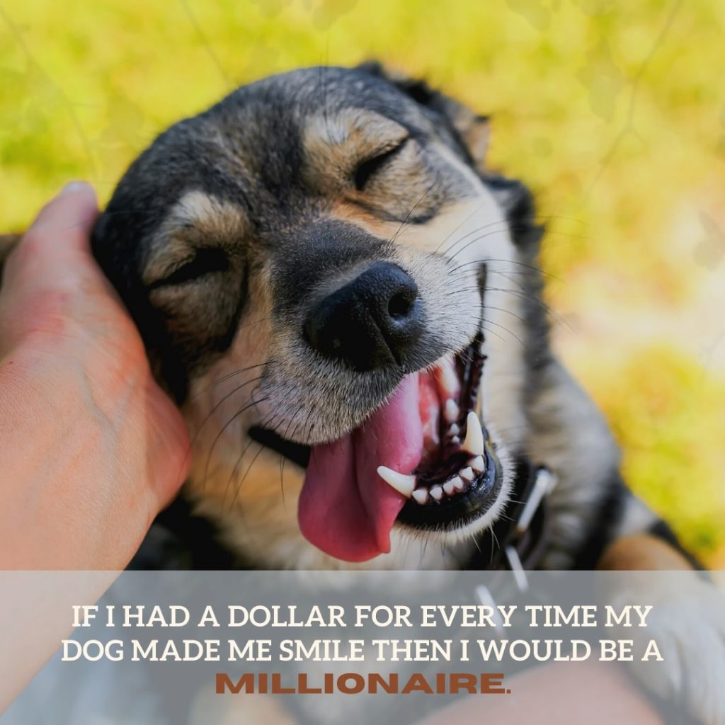 Smiles Dog Quote