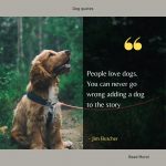 Affection Dog Quote