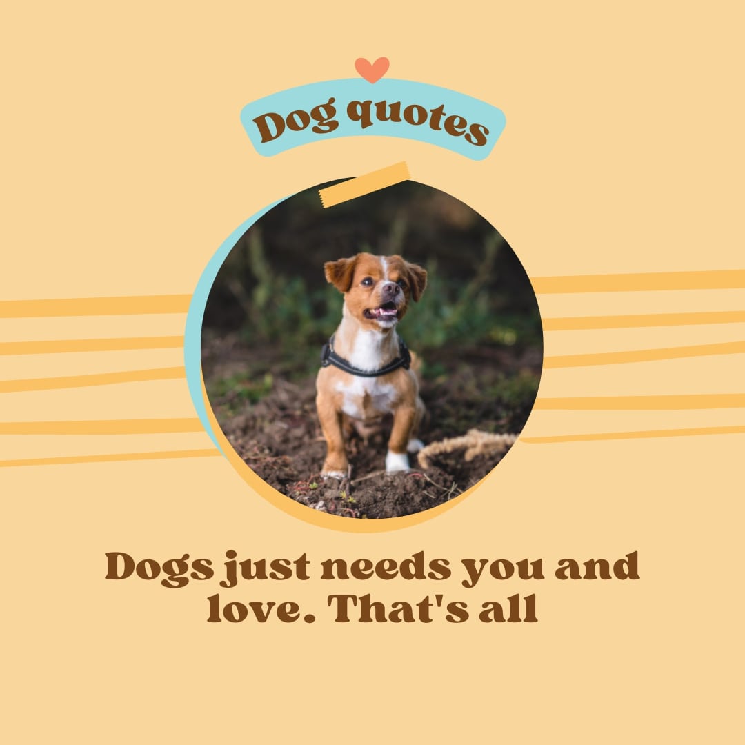 Affection Dog Quote