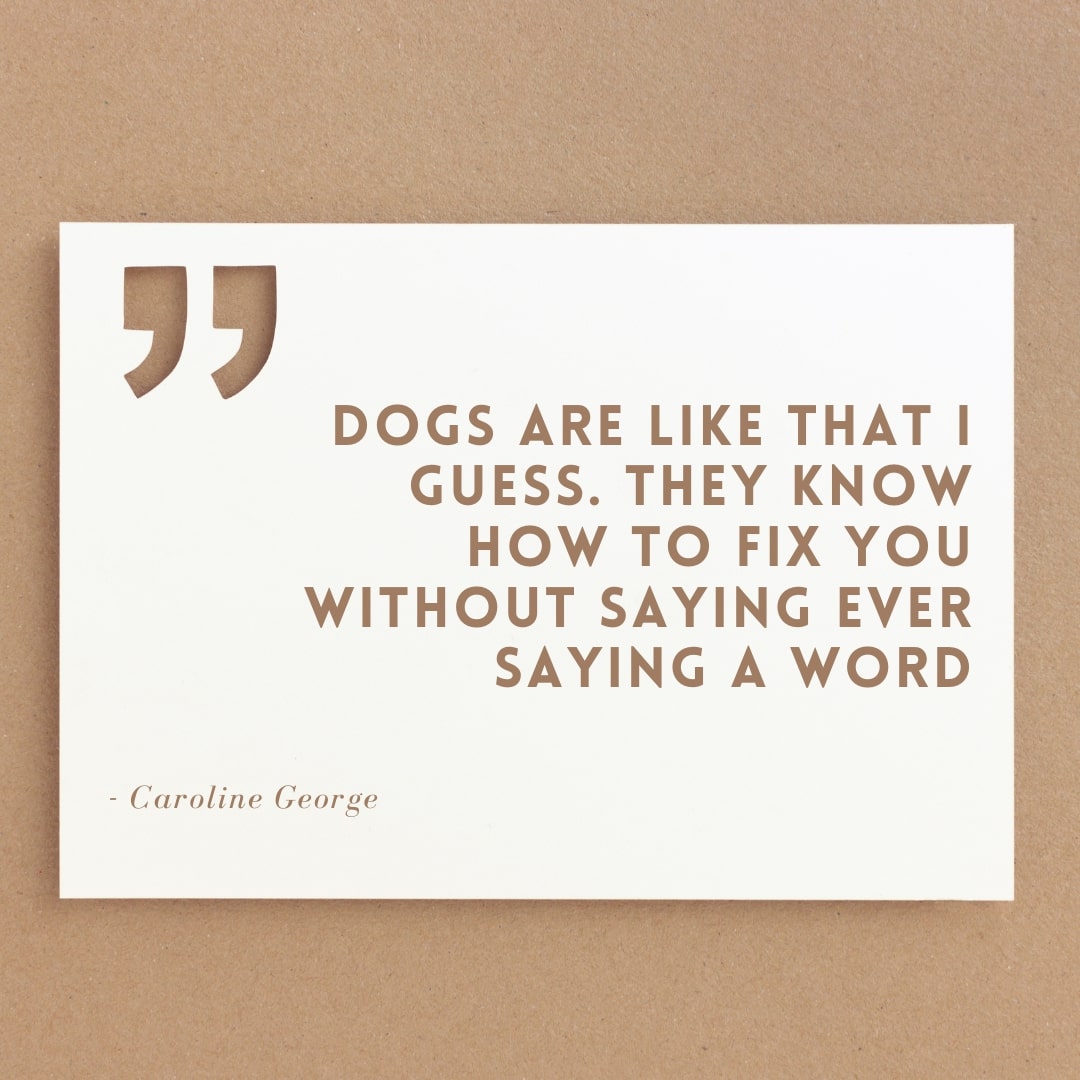 Care Dog Quote
