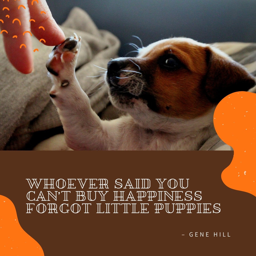 Cheery puppy Dog Quote